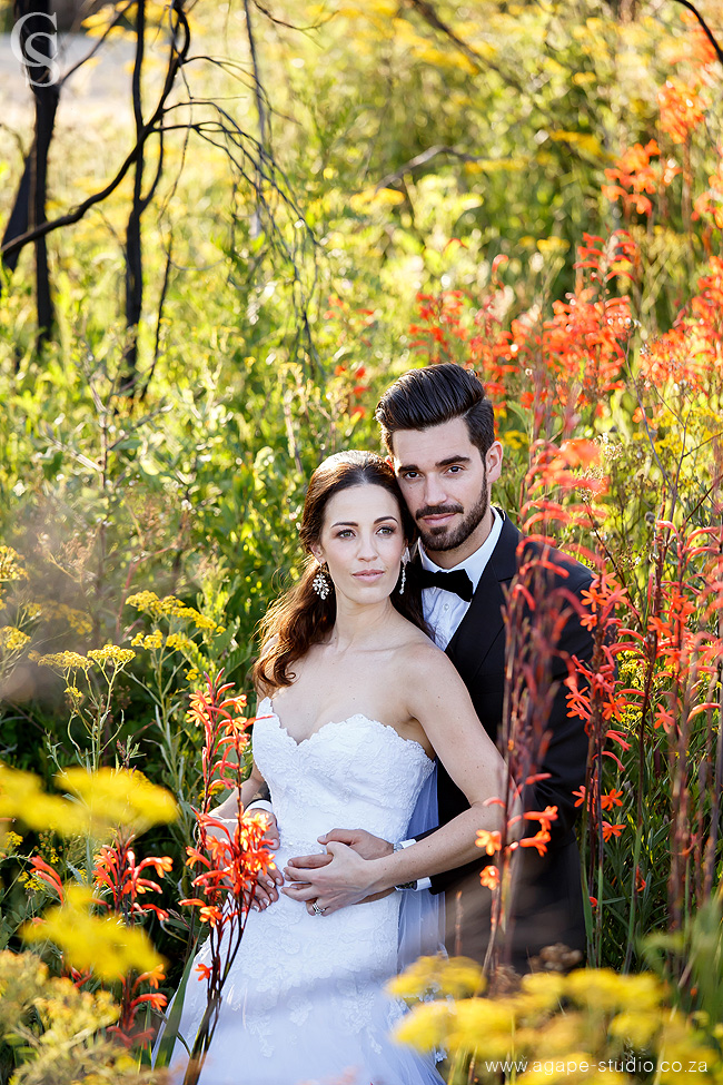 Old Mac daddy wedding photographer_cape town wedding photographer_147